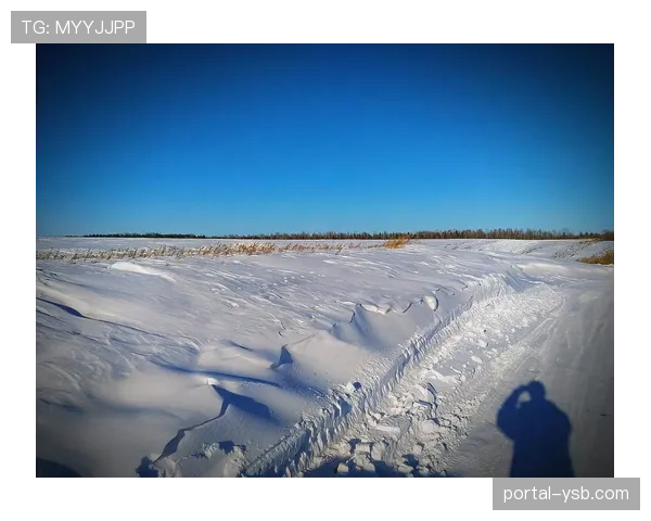 为应对可能出现的极端天气，雷恩俱乐部测试可快速开合的球场顶棚备用电源系统